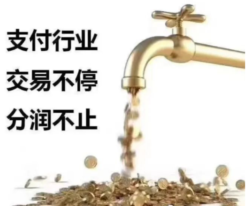 POS機(jī)行業(yè)的魅力